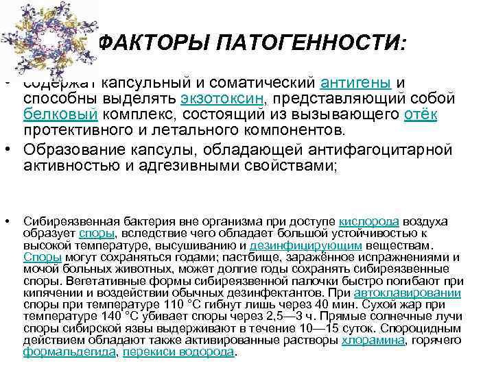 ФАКТОРЫ ПАТОГЕННОСТИ: • содержат капсульный и соматический антигены и способны выделять экзотоксин, представляющий собой