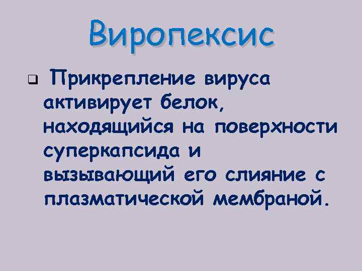 Виропексис q Прикрепление вируса активирует белок, находящийся на поверхности суперкапсида и вызывающий его слияние