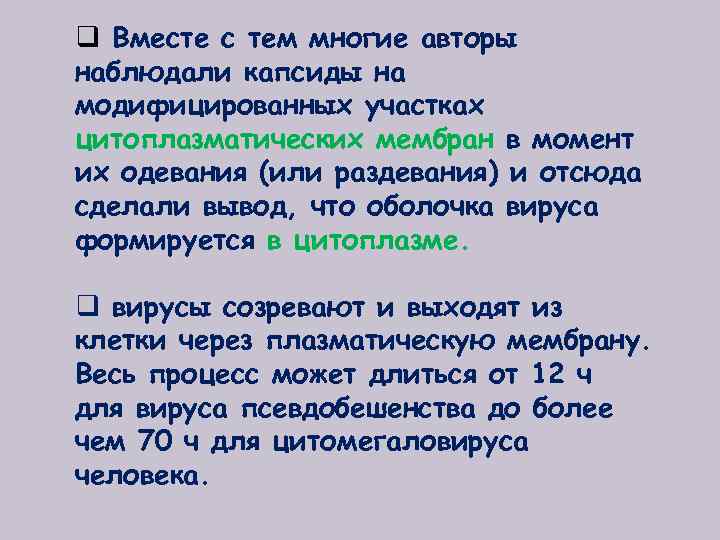 q Вместе с тем многие авторы наблюдали капсиды на модифицированных участках цитоплазматических мембран в