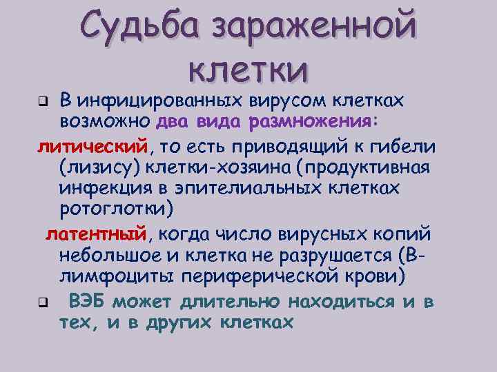 Судьба зараженной клетки В инфицированных вирусом клетках возможно два вида размножения: литический, то есть