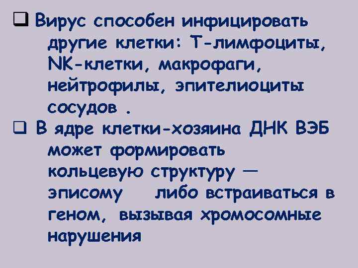 q Вирус способен инфицировать другие клетки: Т-лимфоциты, NK-клетки, макрофаги, нейтрофилы, эпителиоциты сосудов. q В