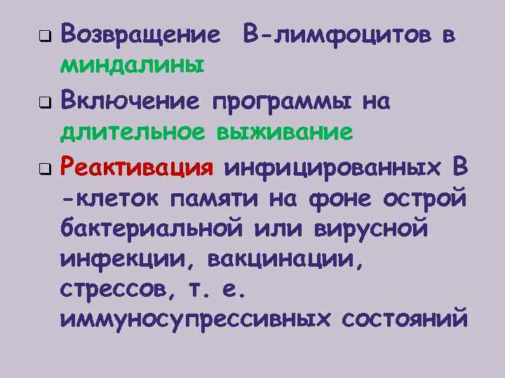 q q q Возвращение В-лимфоцитов в миндалины Включение программы на длительное выживание Реактивация инфицированных