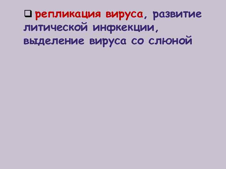 q репликация вируса, развитие литической инфкекции, выделение вируса со слюной 