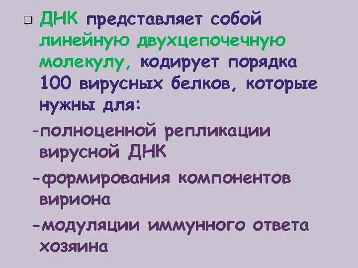 ДНК представляет собой линейную двухцепочечную молекулу, кодирует порядка 100 вирусных белков, которые нужны для: