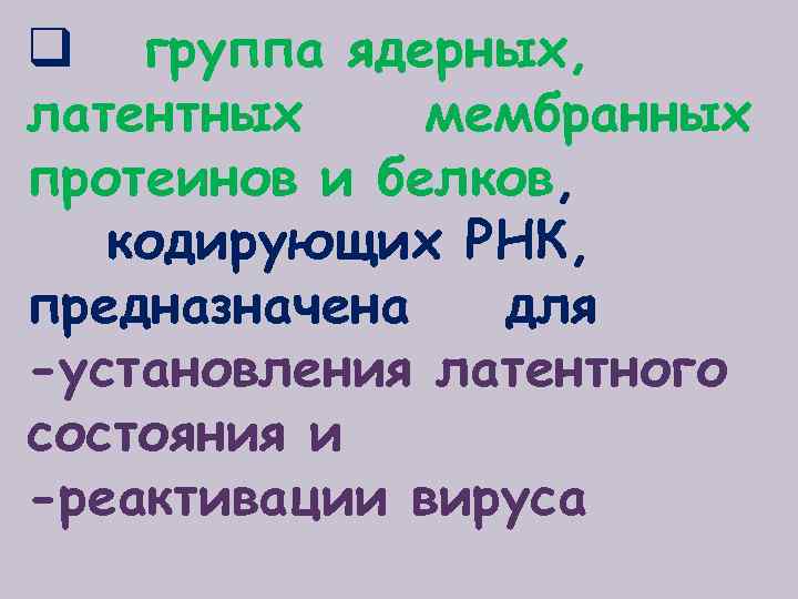 q группа ядерных, латентных мембранных протеинов и белков, кодирующих РНК, предназначена для -установления латентного