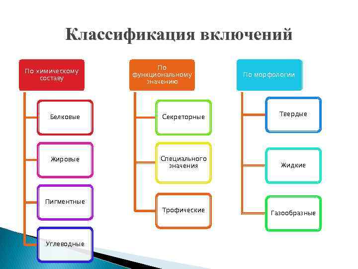 Классификация включений По химическому составу По функциональному значению По морфологии Белковые Секреторные Твердые Жировые
