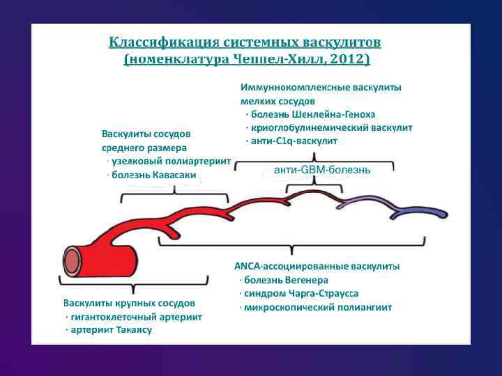 Системный васкулит у детей фото