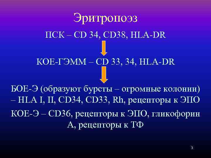 Эритропоэз ПСК – CD 34, CD 38, HLA-DR КОЕ-ГЭММ – СD 33, 34, HLA-DR
