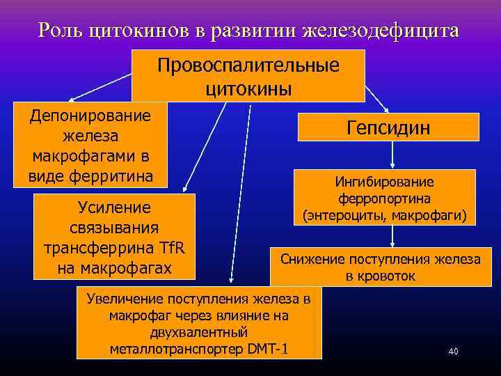 Роль цитокинов в развитии железодефицита Провоспалительные цитокины Депонирование железа макрофагами в виде ферритина Усиление