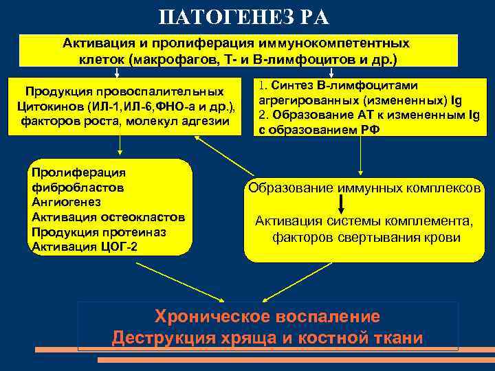 ПАТОГЕНЕЗ РА Активация и пролиферация иммунокомпетентных клеток (макрофагов, Т- и В-лимфоцитов и др. )