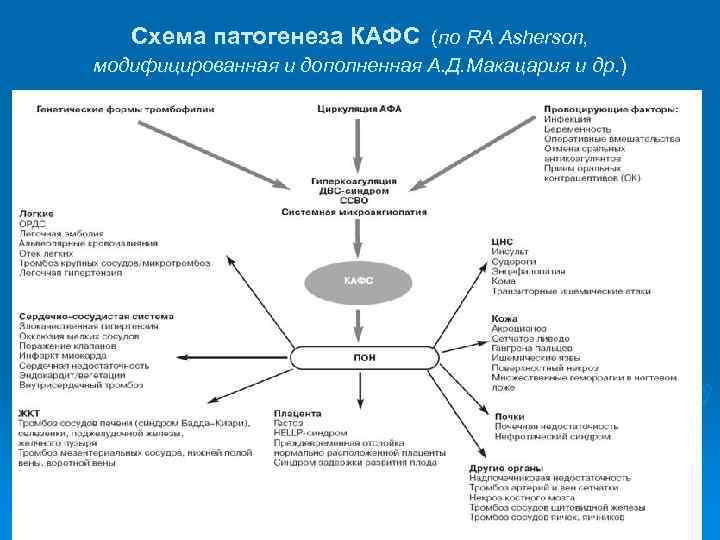  Схема патогенеза КАФС (по RA Asherson, модифицированная и дополненная А. Д. Макацария и