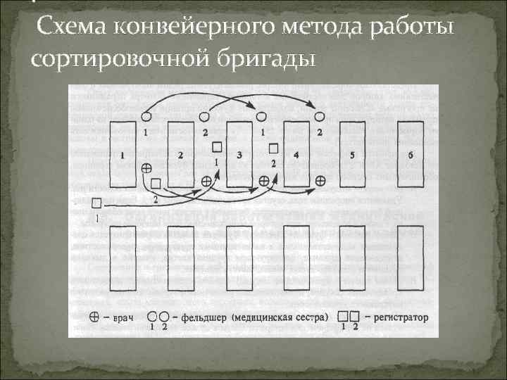 . Схема конвейерного метода работы сортировочной бригады 