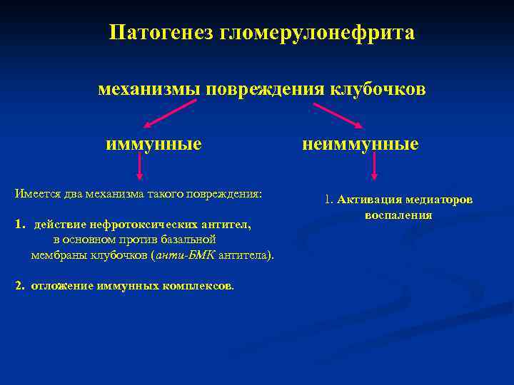 Патогенез гломерулонефрита механизмы повреждения клубочков иммунные Имеется два механизма такого повреждения: 1. действие нефротоксических