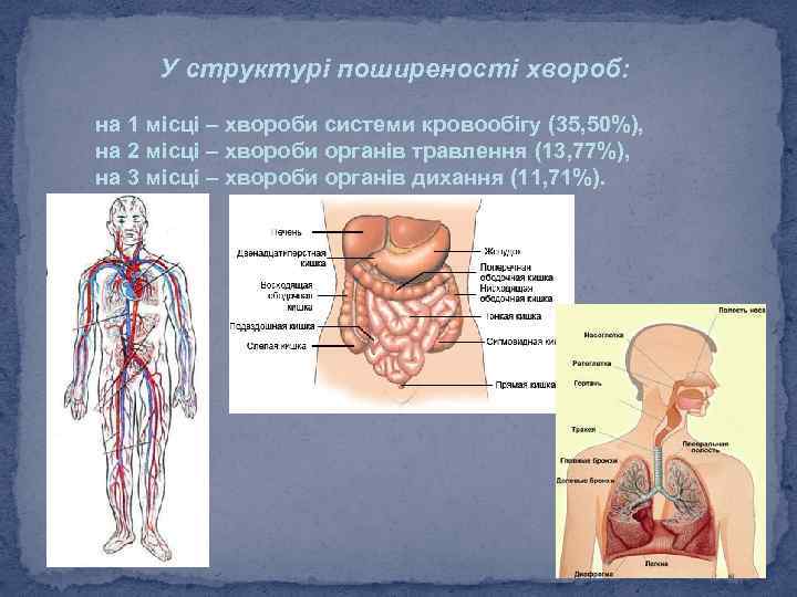 У структурі поширеності хвороб: на 1 місці – хвороби системи кровообігу (35, 50%), на