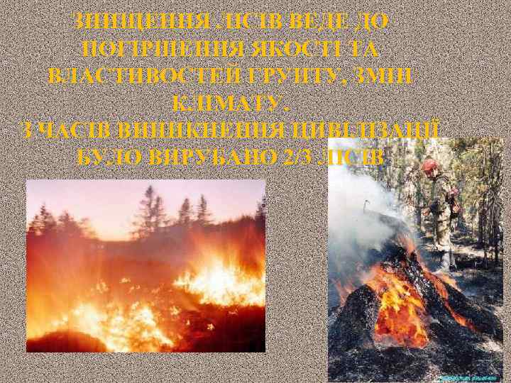 ЗНИЩЕННЯ ЛІСІВ ВЕДЕ ДО ПОГІРШЕННЯ ЯКОСТІ ТА ВЛАСТИВОСТЕЙ ГРУНТУ, ЗМІН КЛІМАТУ. З ЧАСІВ ВИНИКНЕННЯ