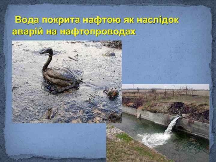 Вода покрита нафтою як наслідок аварій на нафтопроводах 