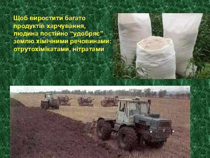 Щоб виростити багато продуктів харчування, людина постійно “удобряє” землю хімічними речовинами: отрутохімікатами, нітратами 