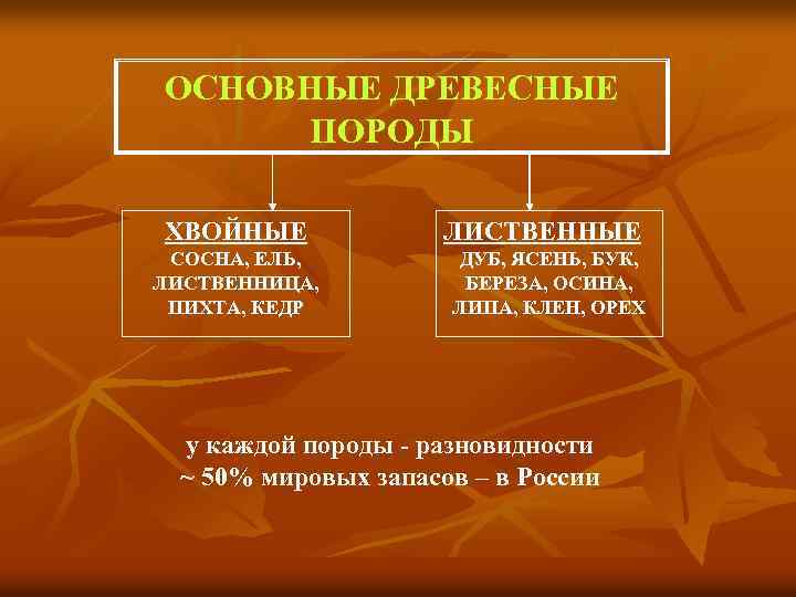 ОСНОВНЫЕ ДРЕВЕСНЫЕ ПОРОДЫ ХВОЙНЫЕ СОСНА, ЕЛЬ, ЛИСТВЕННИЦА, ПИХТА, КЕДР ЛИСТВЕННЫЕ ДУБ, ЯСЕНЬ, БУК, БЕРЕЗА,