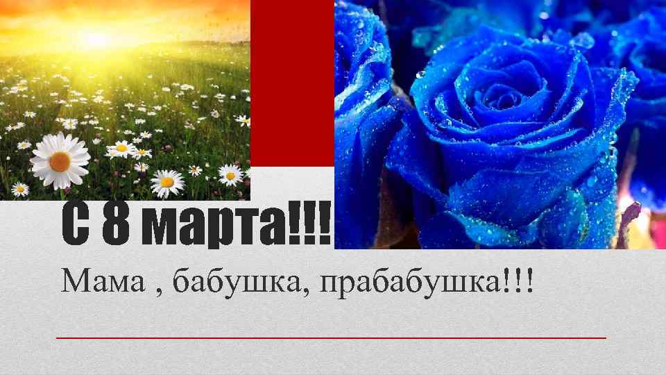 С 8 марта!!! Мама , бабушка, прабабушка!!! 