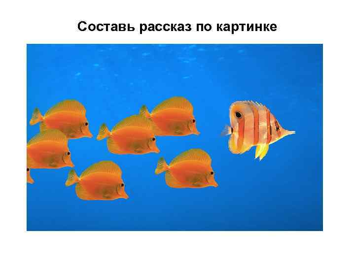 Составь рассказ по картинке 