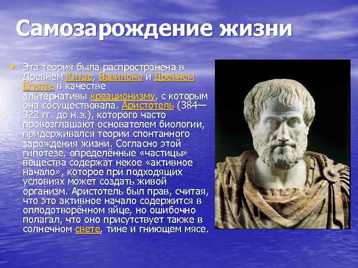 Суть теории самозарождения. Теория самозарождения жизни. Теория Аристотеля о происхождении жизни. Суть гипотезы самозарождения. Самозарождение жизни картинки.