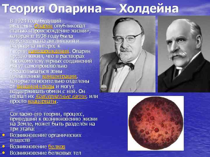 Теория Опарина — Холдейна В 1924 году будущий академик Опарин опубликовал статью «Происхождение жизни»
