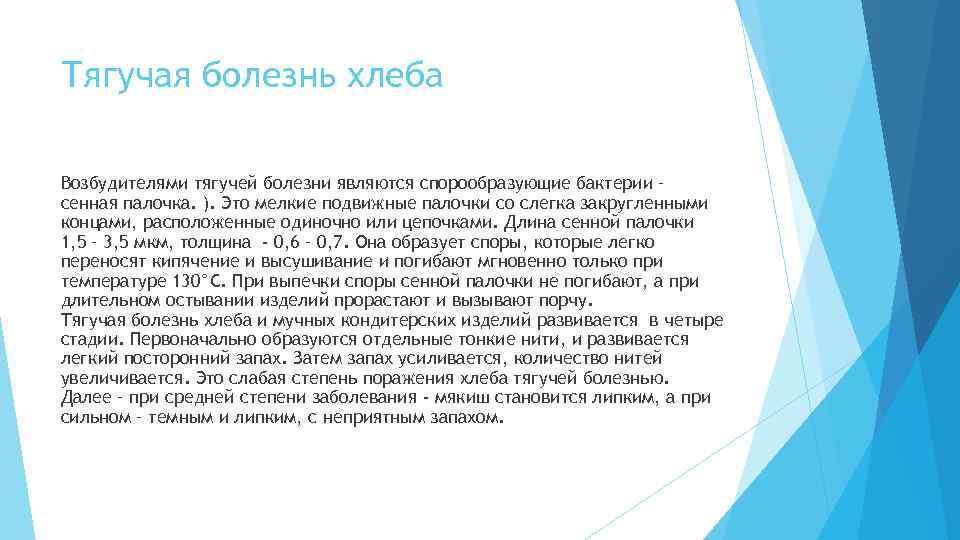 Тягучая болезнь хлеба Возбудителями тягучей болезни являются спорообразующие бактерии – сенная палочка. ). Это