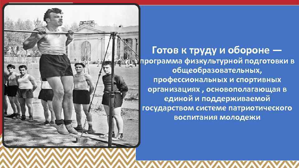 Готов к труду и обороне — программа физкультурной подготовки в общеобразовательных, профессиональных и спортивных