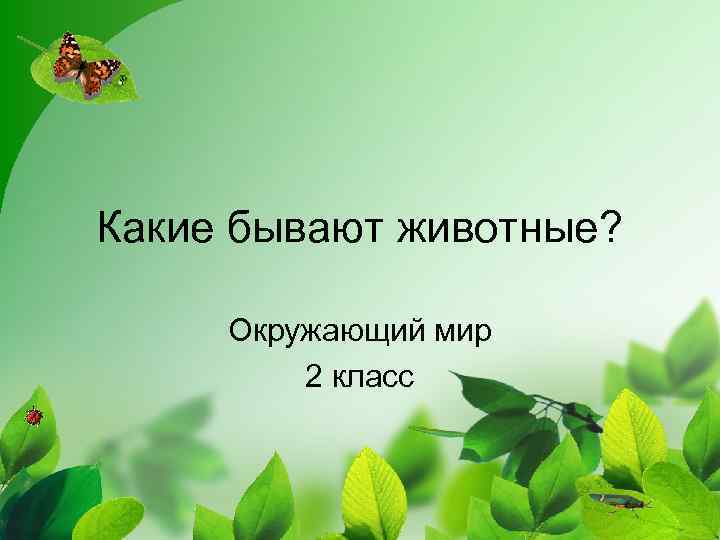 Какие бывают животные? Окружающий мир 2 класс 