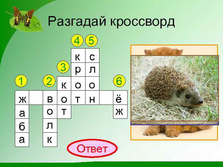 Разгадай кроссворд 1 ж а б а 4 5 к с 3 р л