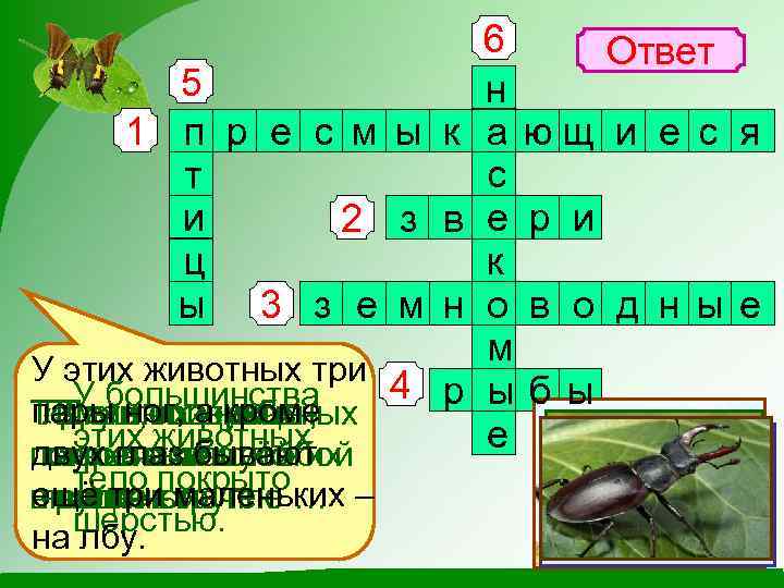 5 1 п р е с м ы к т и 2 з в