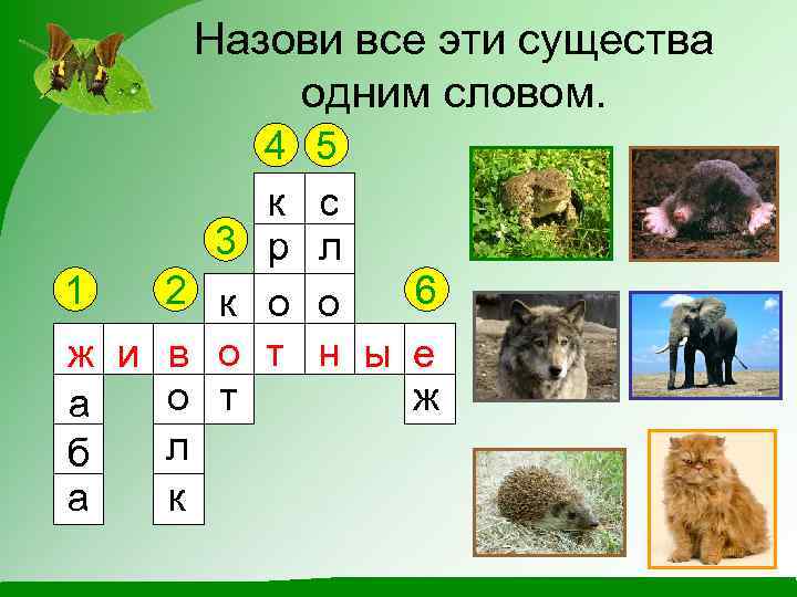 Назови все эти существа одним словом. 1 ж а б а 4 к 3