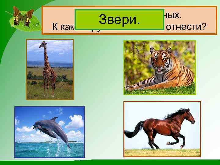 Назови этих животных. Звери. К какой группе их можно отнести? 