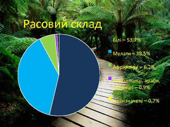 Расовий склад § Білі – 53, 7% § Мулати – 38, 5% § Африканці