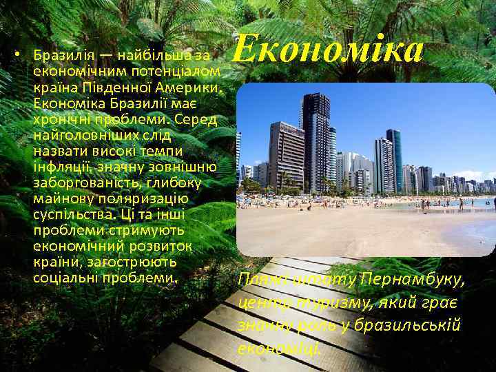 Економіка • Бразилія — найбільша за економічним потенціалом країна Південної Америки. Економіка Бразилії має