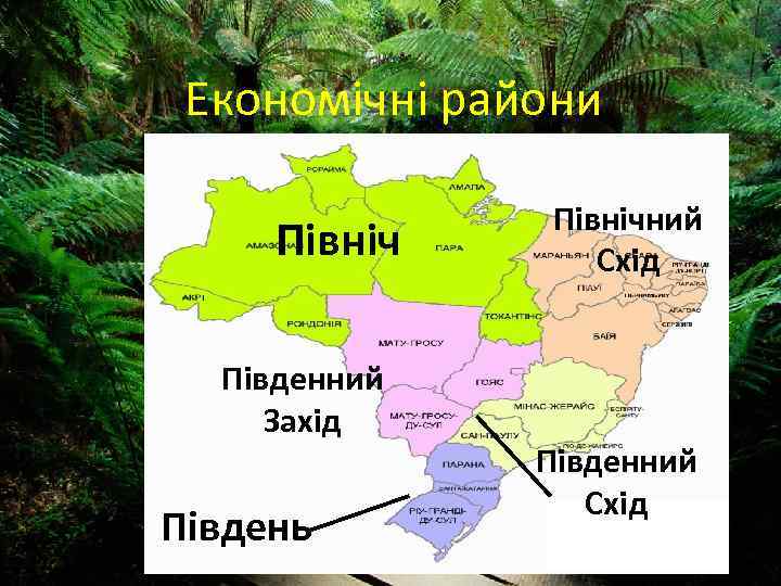 Економічні райони Північ Південний Захід Південь Північний Схід Південний Схід 