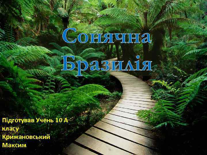 Сонячна Бразилія Підготував Учень 10 А класу Крижановський Максим 