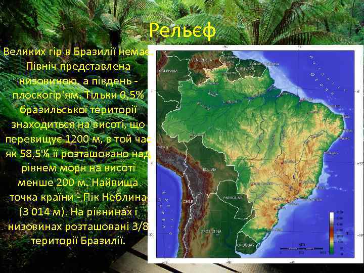 Рельєф Великих гір в Бразилії немає. Північ представлена низовиною, а південь - плоскогір‘ям. Тільки