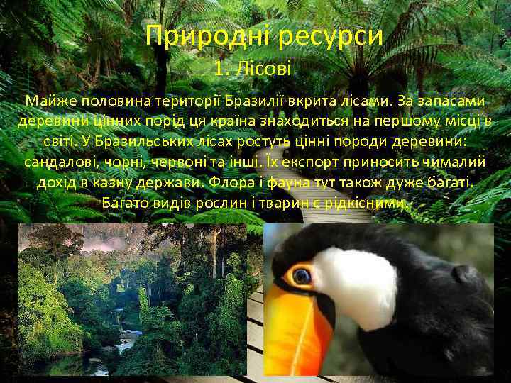 Природні ресурси 1. Лісові. Майже половина території Бразилії вкрита лісами. За запасами деревини цінних