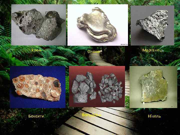 Хром Боксити Олово Вольфрам Марганець Нікель 