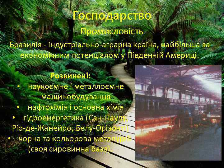 Господарство Промисловість Бразилія - індустріально-аграрна країна, найбільша за економічним потенціалом у Південній Америці. Розвинені: