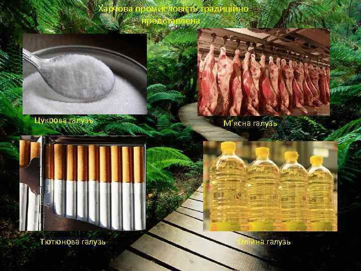 Харчова промисловість традиційно представлена : Цукрова галузь Тютюнова галузь М’ясна галузь Олійна галузь 