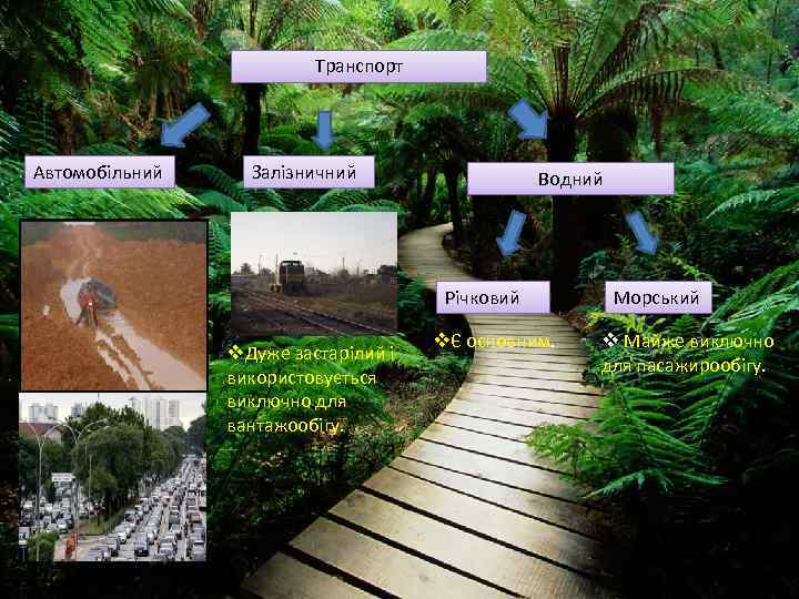Транспорт Автомобільний Залізничний Водний Річковий v. Дуже застарілий і використовується виключно для вантажообігу. vЄ