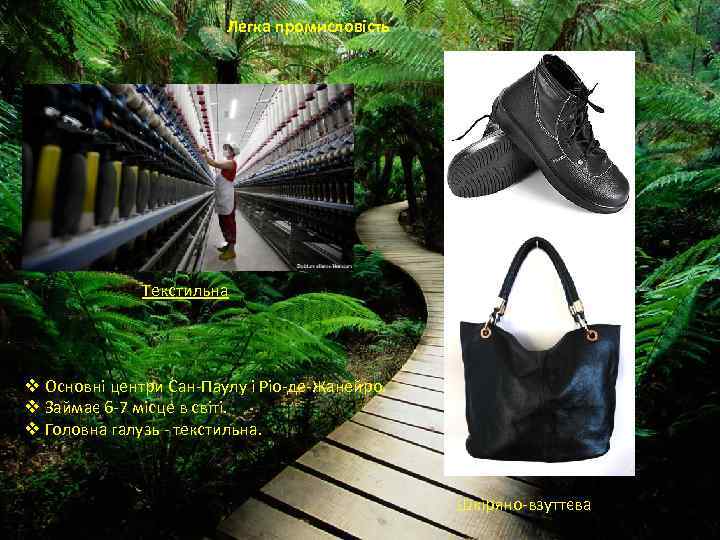 Легка промисловість Текстильна v Основні центри Сан-Паулу і Ріо-де-Жанейро. v Займає 6 -7 місце