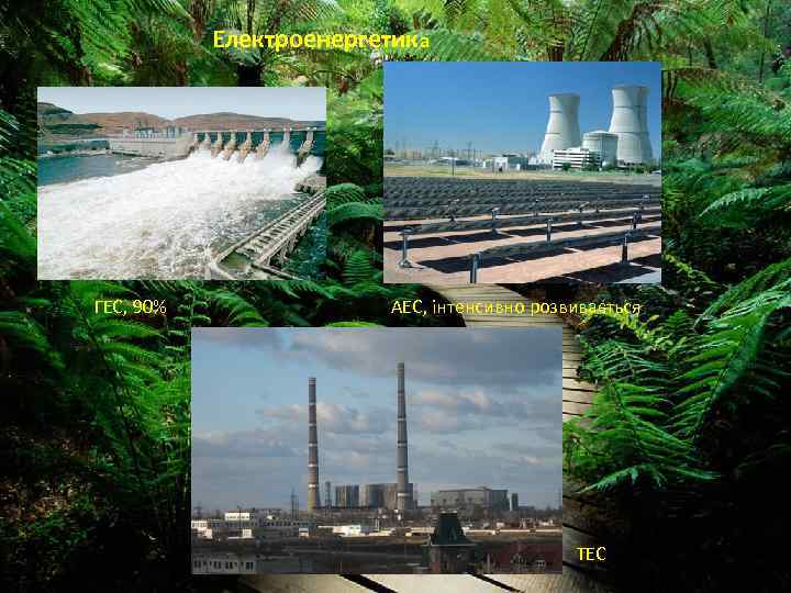 Електроенергетика ГЕС, 90% АЕС, інтенсивно розвивається ТЕС 