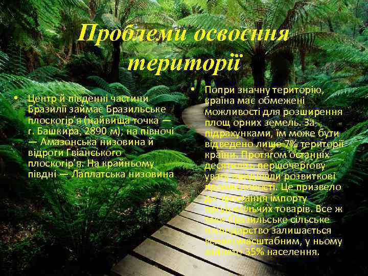 Проблеми освоєння території • Центр й південні частини Бразилії займає Бразильське плоскогір’я (найвища точка