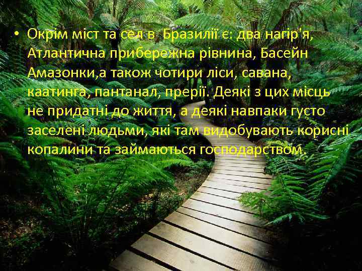  • Окрім міст та сел в Бразилії є: два нагір'я, Атлантична прибережна рівнина,