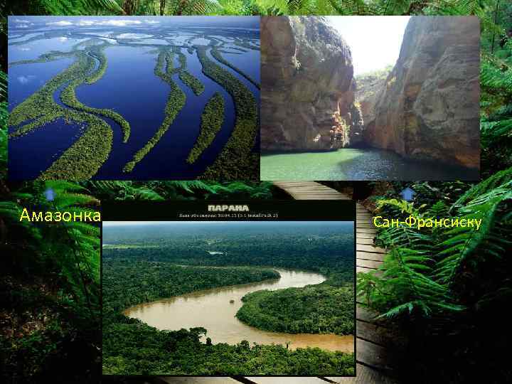 Амазонка Сан-Франсиску 