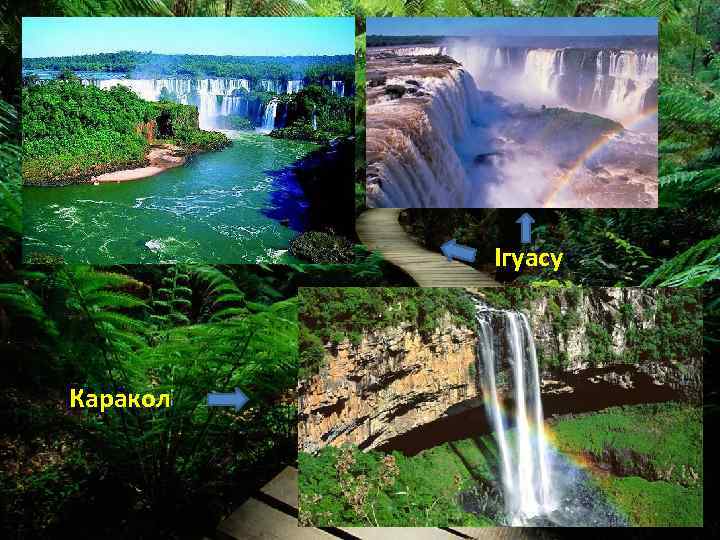 Ігуасу Каракол 