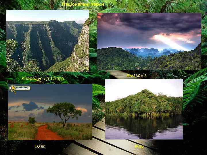 Національні парки: Апарадус-да-Серра Емас Амазоніа Жау 